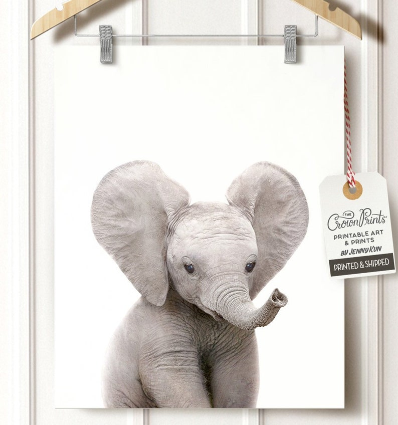 Elephant Print the Crown Prints Nursery Wall Art Nursery Etsy
