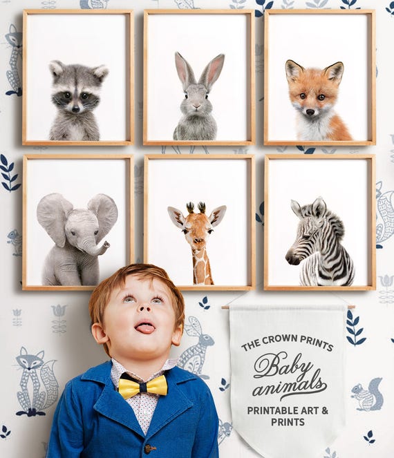 Baby Animal Prints PRINTABLE Art Woodland Animals Safari - Etsy Baby Animal Prints PRINTABLE Art Woodland Animals Safari - Etsy