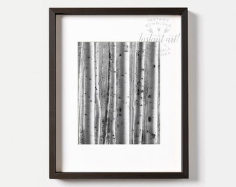 Birch Trees Wall Art - Etsy