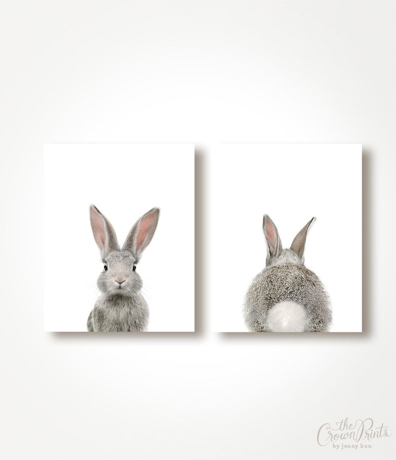 Set of 2 bunny prints, PRINTABLE wall art, The Crown Prints, Nursery art, Woodland animals, Nursery art, Baby animal prints, Nursery TCP104_ image 6