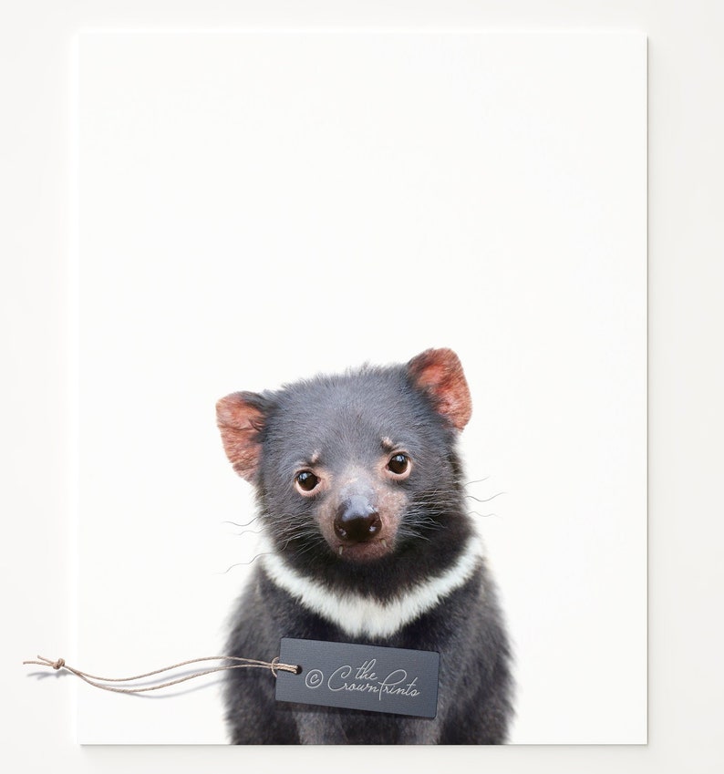 Tasmanian devil print PRINTABLE art Nursery decor | Etsy