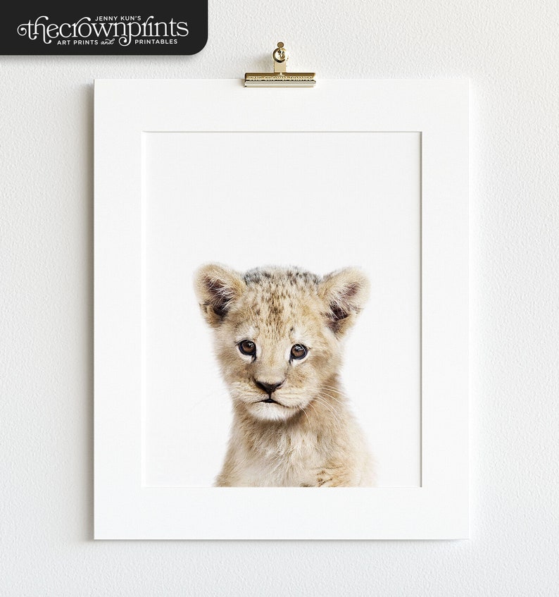 Lion print, Safari animal prints, PRINTABLE nursery art, Lion cub, Safari nursery decor, Baby lion, Safari animals, Nursery wall art TCP51_ image 2