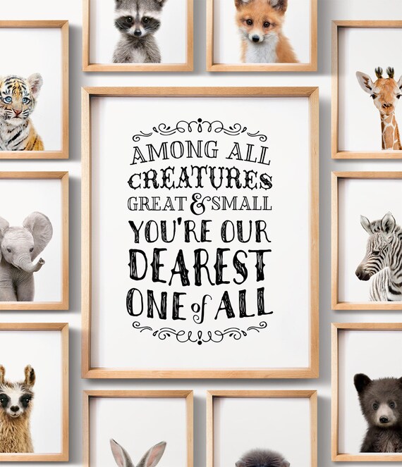 59 Baby Animal Zoom Backgrounds Cafekudus