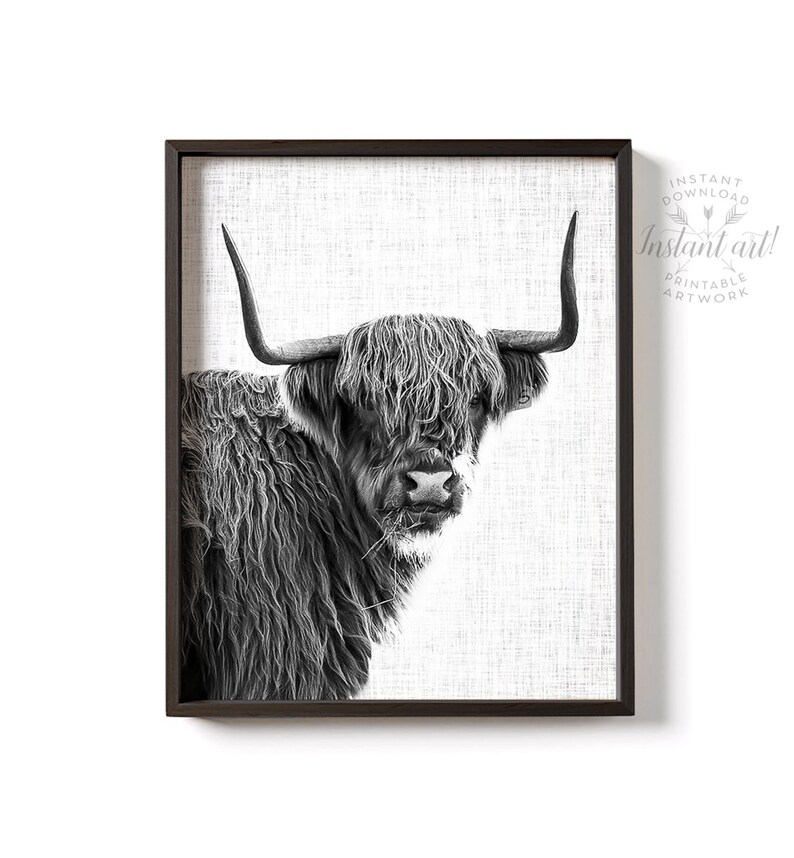 Animal print wall art prints highland cow print black and etsy australia