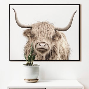 Cow print, PRINTABLE wall ART, Modern farmhouse decor, Digital download print, Highland cattle art, Highland cow art print, Boho wall decor image 3