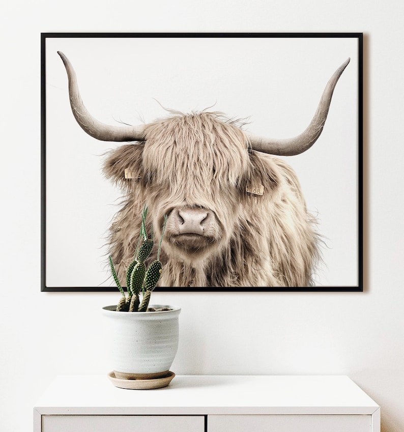 Cow print, PRINTABLE wall ART, Modern farmhouse decor, Digital download print, Highland cattle art, Highland cow art print, Boho wall decor image 3