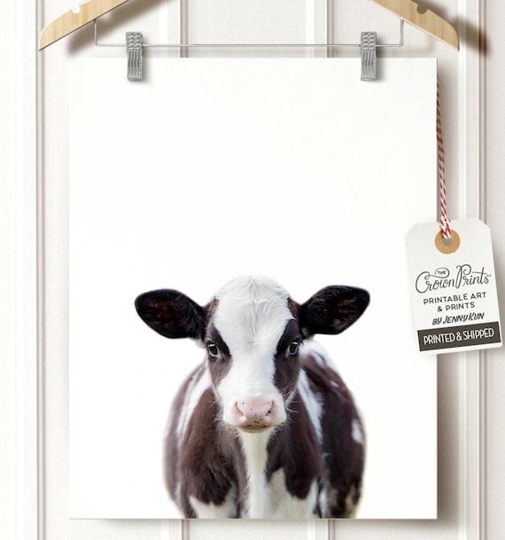 Bebe Vache Imprime Des Animaux De Ferme Estampes Bebe Animal Etsy France
