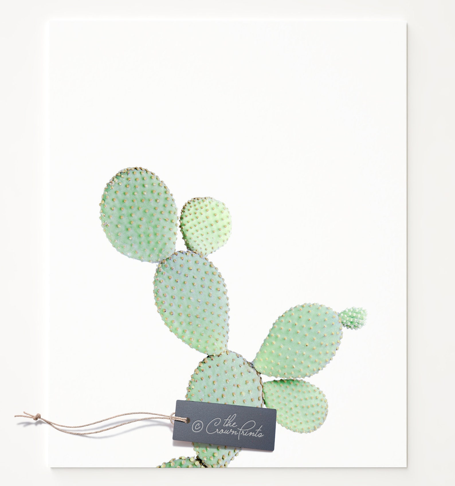 Cactus Art PRINTABLE Cacti Print Cactus Poster Cactus | Etsy