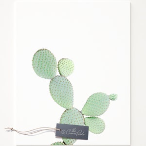 Cactus Art PRINTABLE Cacti Print Cactus Poster Cactus - Etsy
