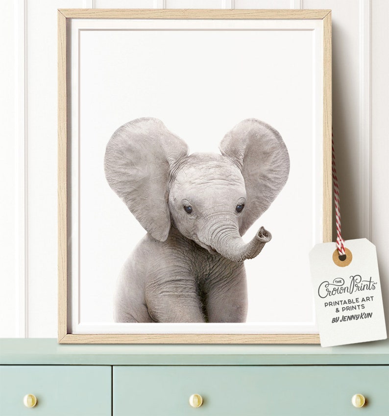 baby animal wall art