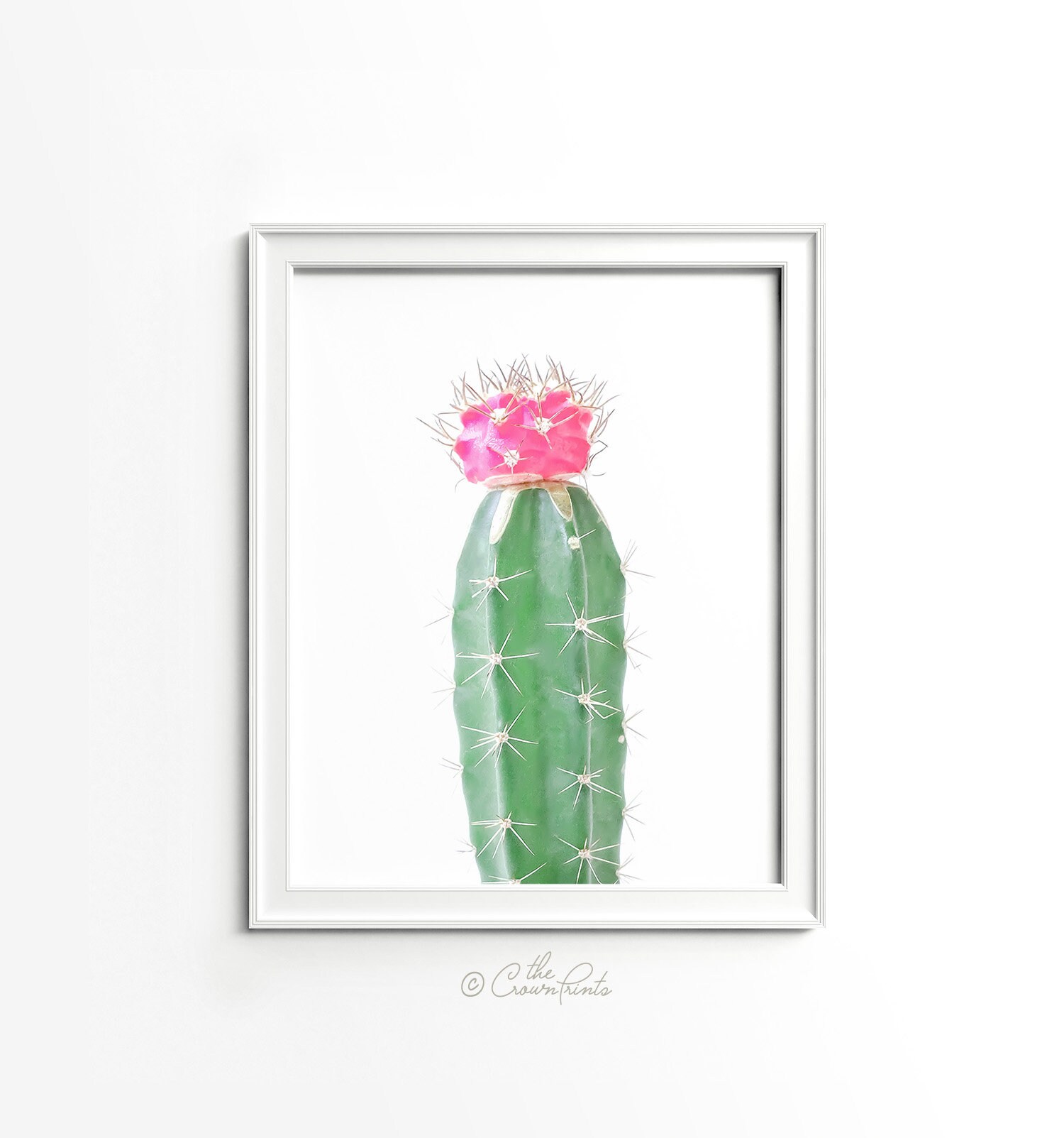 Cactus Print PRINTABLE Art Cactus Photography Cactus Wall Etsy
