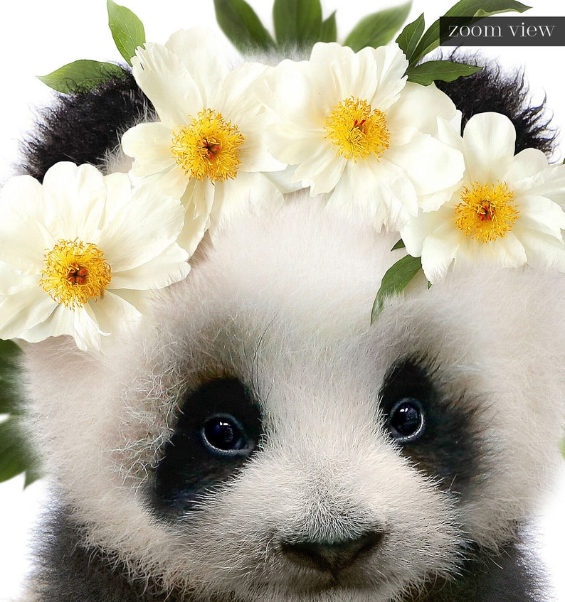 Panda With Flower Crown INSTANT DOWNLOAD the Crown Prints Etsy Australia