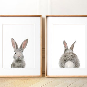 Set of 2 bunny prints, PRINTABLE wall art, The Crown Prints, Nursery art, Woodland animals, Nursery art, Baby animal prints, Nursery TCP104_ image 8