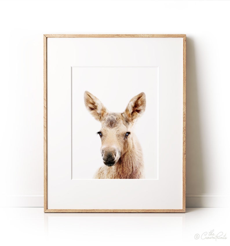 Baby moose print Woodland nursery decor nursery PRINTABLE Etsy