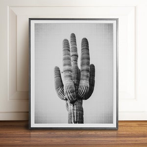 Cactus Prints, Set of 3, PRINTABLE Art, Black and White Photography ...