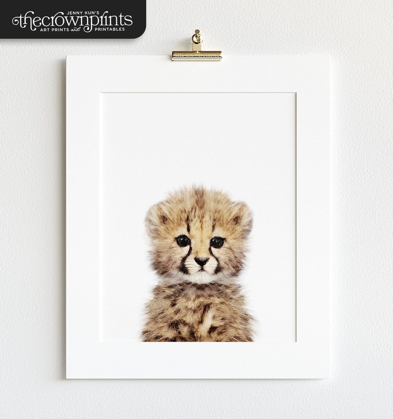 Safari animal prints, Baby cheetah print, PRINTABLE nursery art, Safari nursery decor, Safari animals, Nursery wall art, Nursery wall TCP87_ image 2