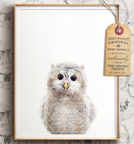 Nursery animal print PRINTABLE art Owl print Woodland | Etsy