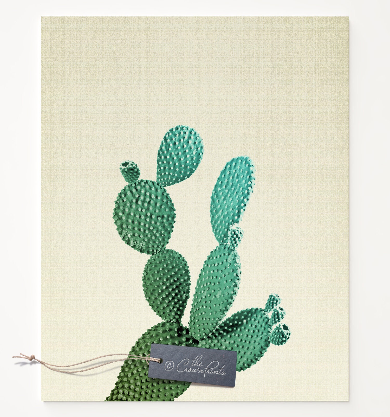 Cactus decor PRINTABLE artcactus printsneutral printtrend | Etsy