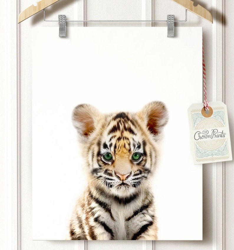 Tiger Print Baby Animal Prints Nursery Wall Decor Unique Etsy