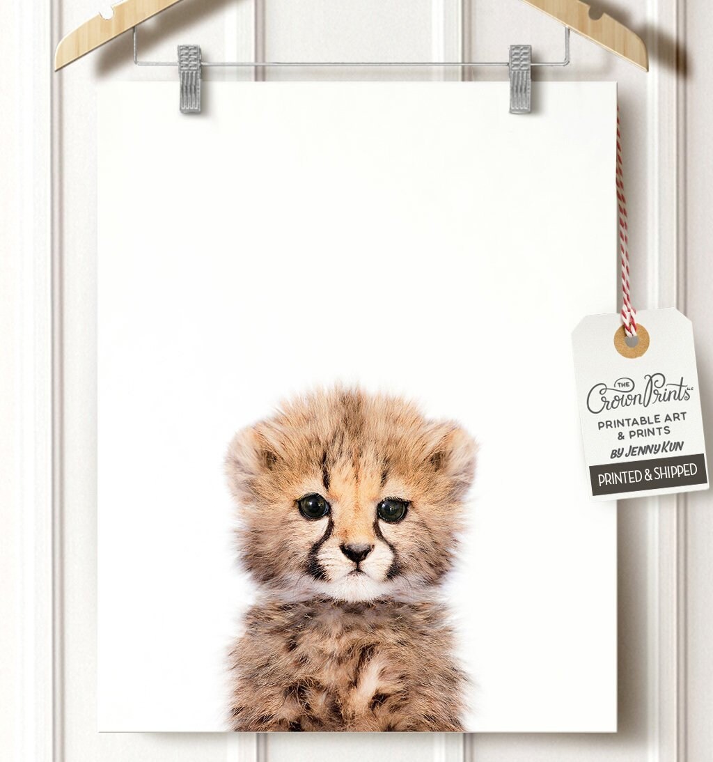Baby Gepard drucken Safari-Kinderzimmer-Kunst Baby Tier | Etsy