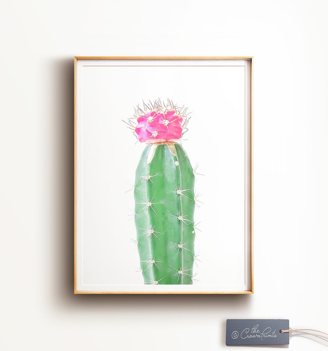 Cactus Print PRINTABLE Art Cactus Photography Cactus Wall - Etsy