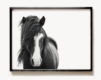 Icelandic horse print, PRINTABLE art, Black and white art, Horse decor, Horse photography,  Minimalist art, Modern print, Wild horse print