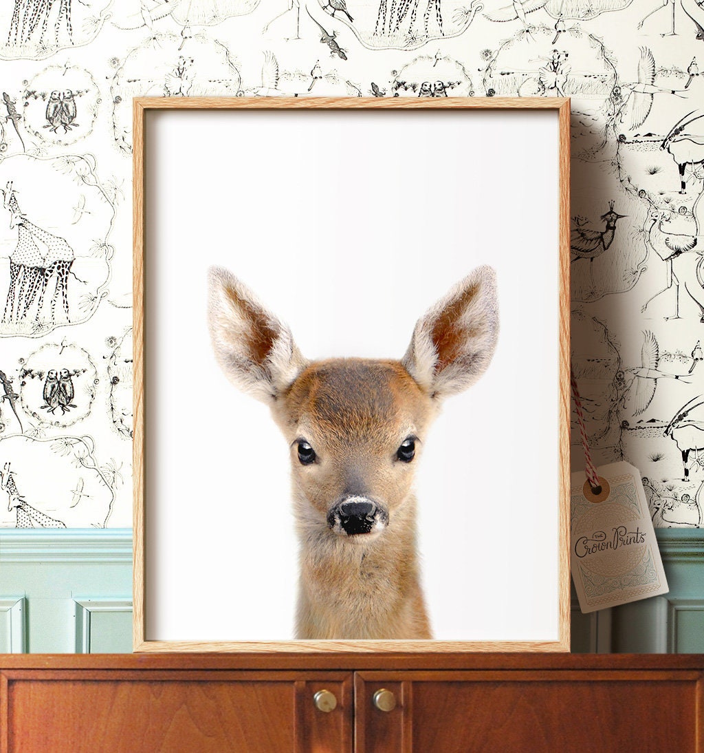 Nursery wall art Baby animal prints Woodland nursery theme | Etsy