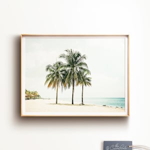 Beach decor, Wall art, Palm tree print, PRINTABLE, Beach poster, Coastal decor, Beach photography, Nature print, Beach prints, Palm tree art