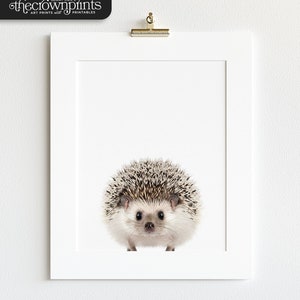 Nursery art, Hedgehog print, Woodland animals, PRINTABLE art, Nursery decor, Animal art, Baby animals, Nursery wall art, Kids wall decor image 2