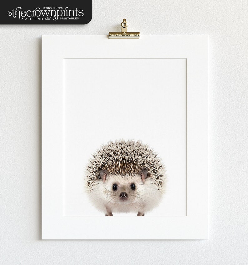 Nursery art, Hedgehog print, Woodland animals, PRINTABLE art, Nursery decor, Animal art, Baby animals, Nursery wall art, Kids wall decor image 2