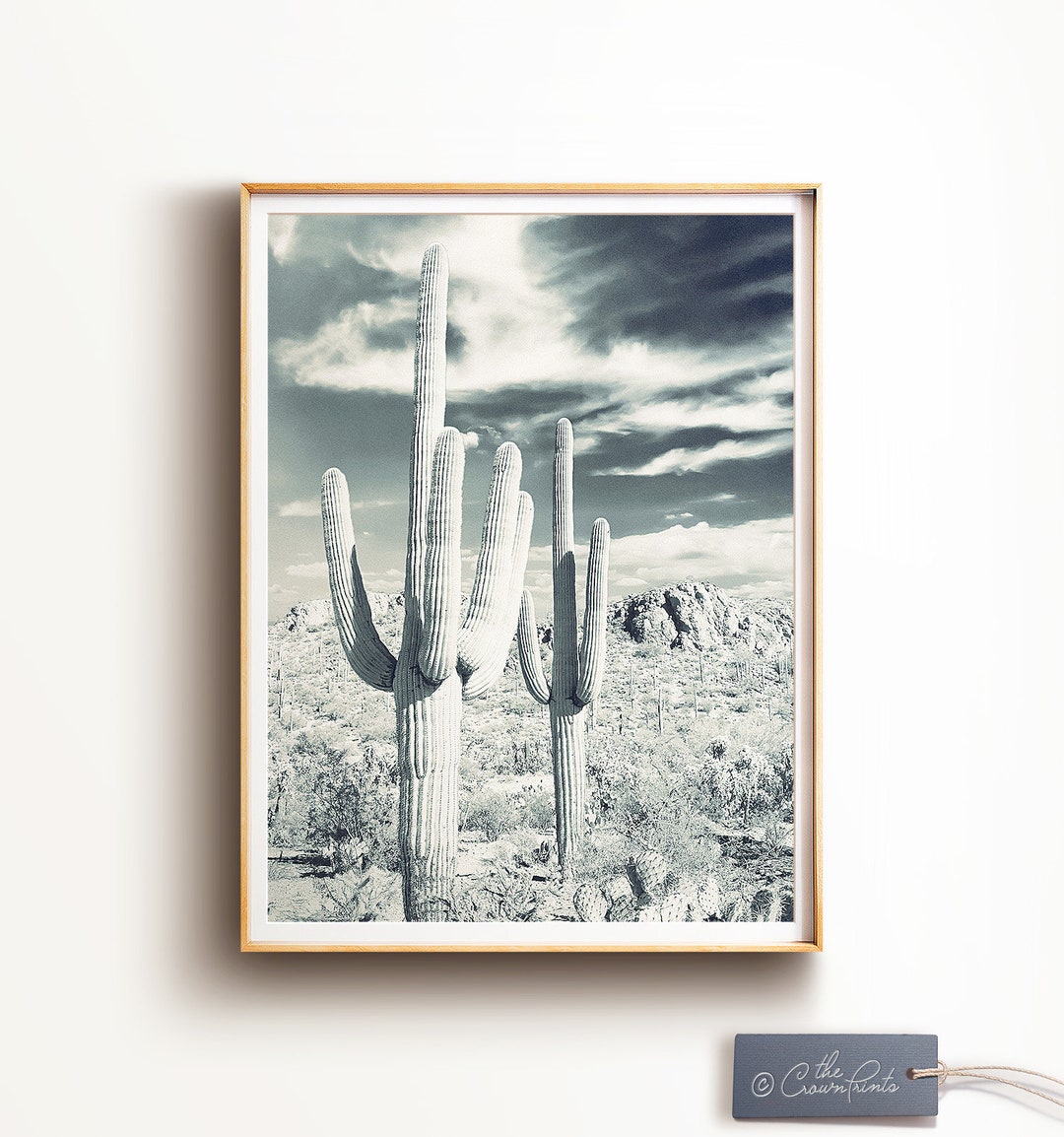 Cactus Photography Print Navy Wall Art PRINTABLE Art - Etsy