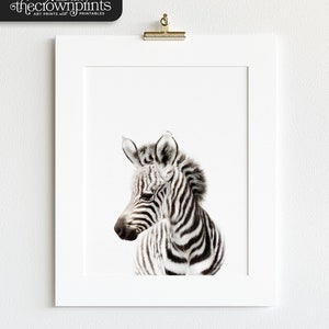 Safari nursery decor, Zebra print, PRINTABLE art, Safari animals wall art, Baby zebra, Safari theme, Nursery wall art, Baby animal image 2