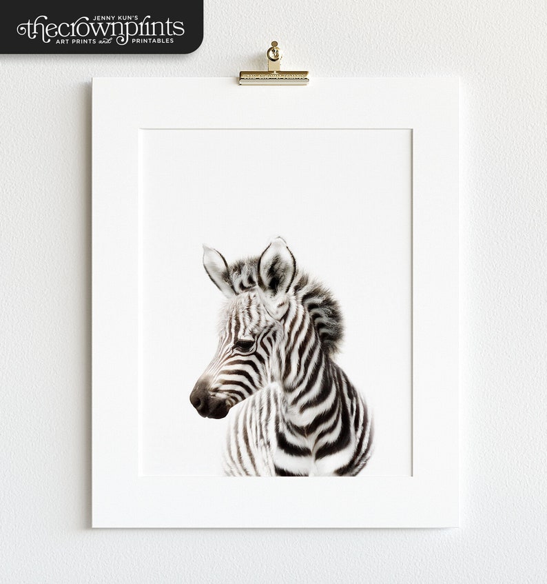 Safari nursery decor, Zebra print, PRINTABLE art, Safari animals wall art, Baby zebra, Safari theme, Nursery wall art, Baby animal image 2