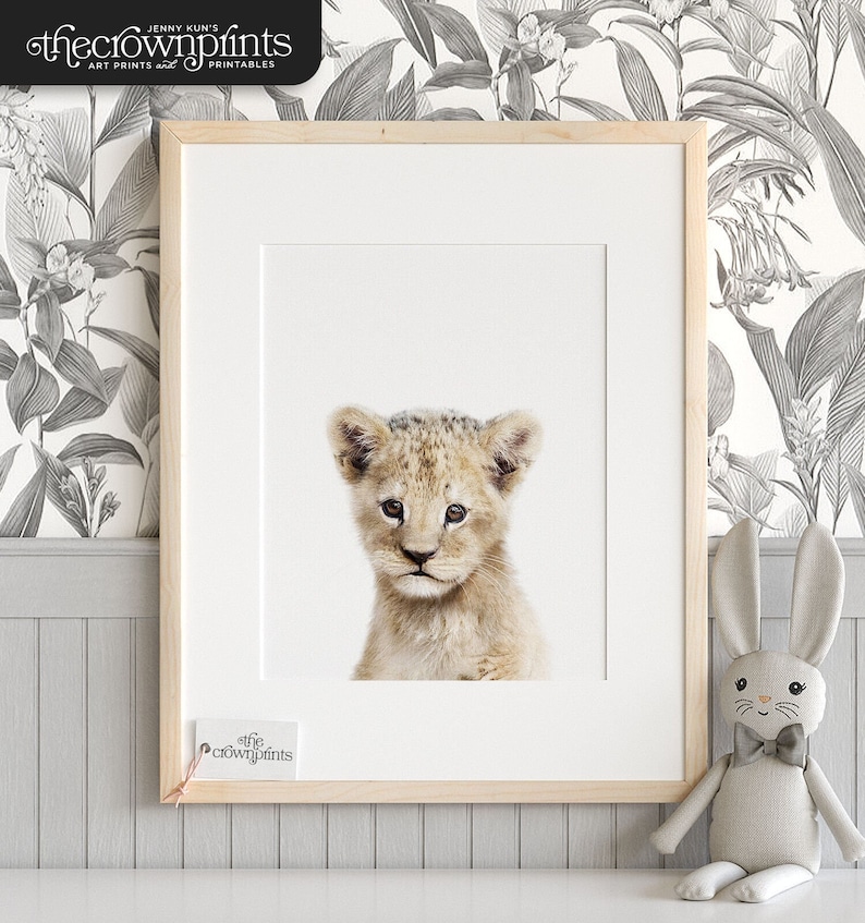 Lion print, Safari animal prints, PRINTABLE nursery art, Lion cub, Safari nursery decor, Baby lion, Safari animals, Nursery wall art TCP51_ image 1