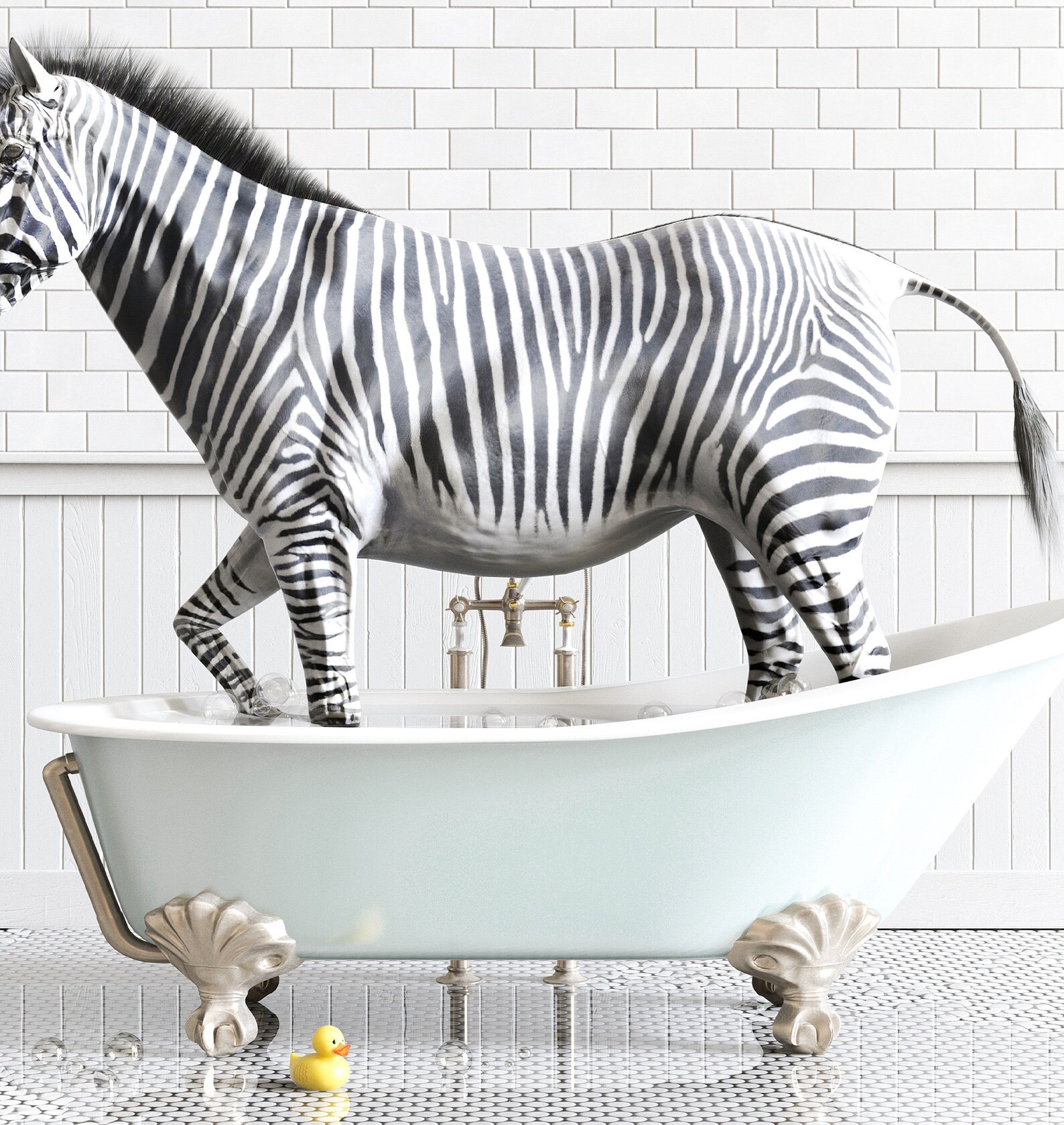 Zebra Print Horizontal Animals in Bathtubs Bathroom Wall Art Etsy