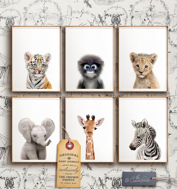 Safari nursery decor, PRINTABLE artwork, Safari animal prints, Nursery wall artwork, Jungle pets, Elephant artwork, Little one area, The Crown Prints Store photo regarding Baby Animals Printable referred to as Safari nursery decor, PRINTABLE artwork, Safari animal prints, Nursery wall artwork, Jungle pets, Elephant artwork, Youngster area, The Crown Prints Retail store