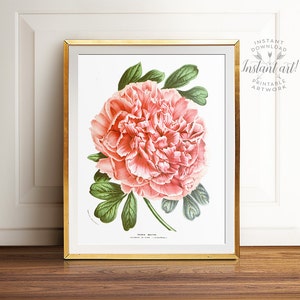 Peony print PRINTABLE art instant download,nature print,vintage art,pink flower print,flower art,vintage print,flower illustration art image 2