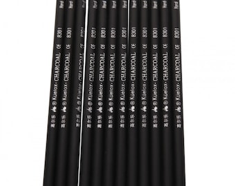 Matite a carboncino per schizzi: dure, medie, morbide - Set da 12 pezzi