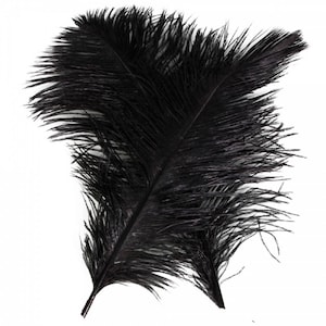 10pcs 12-14 Inch 30-35cm Natural Ostrich Feathers Party Wedding Decoration Black....Free Shipping in US!