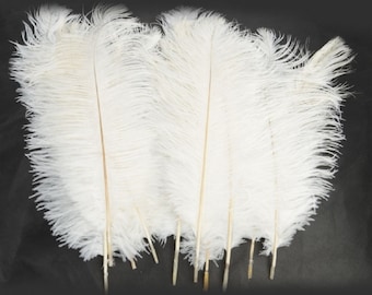 10pcs 12-14" Natural Ostrich Feathers Party Wedding Decoration White....Free Worldwide Shipping!