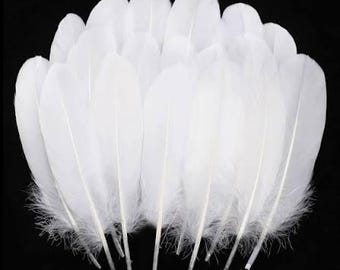 10 White Goose Feathers