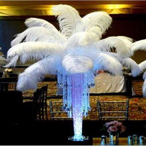 New 10 PCS  Quality Natural Ostrich Feathers 12-14 Inch White Color....Free Shipping in  US!