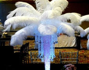 White Ostrich Feathers (10 PCS) - 12-14 Inch Craft Supplies
