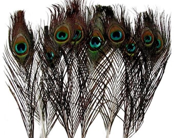 10 Natural Peacock Feathers: 10-12 Inch Home Decor