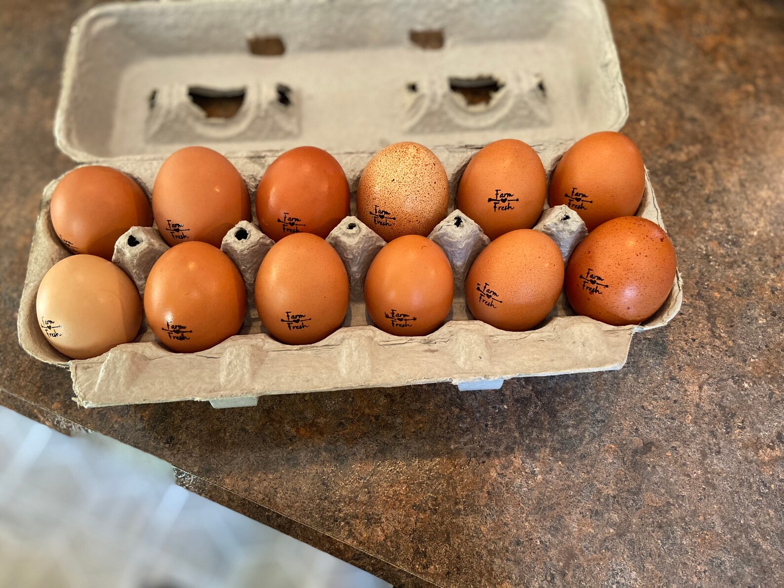 3 Dozen Farm Fresh Chicken Etsy