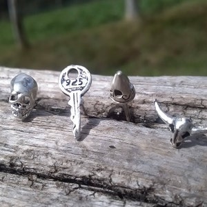 May include: Four silver earrings with different designs: a skull, a key, a crown, and a bull skull.