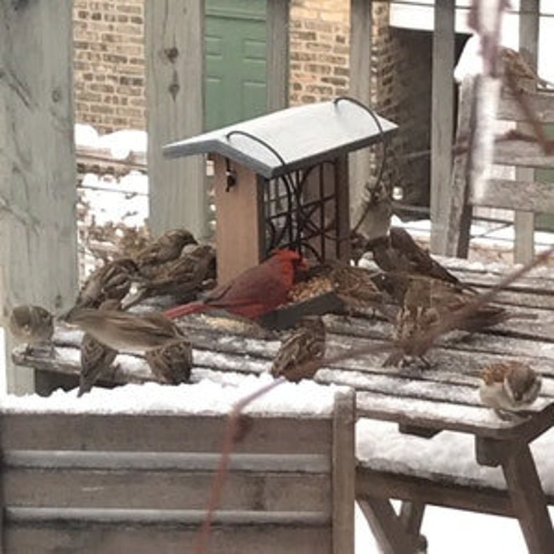 Handmade FLW inspired Hanging Bird Feeder Flora image 4