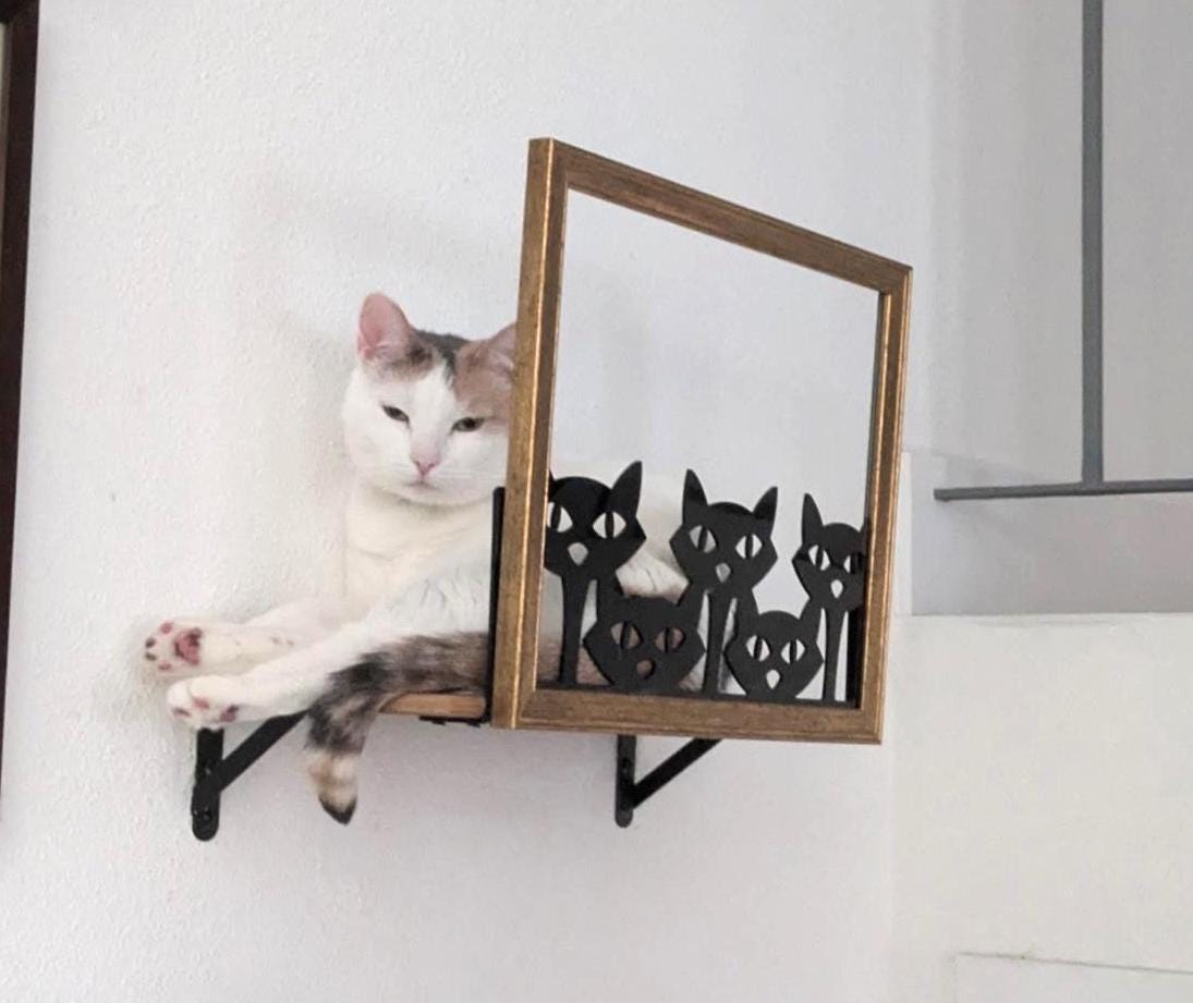 Mid Mod Cat Picture Frame Perch With 2 Steps - Etsy