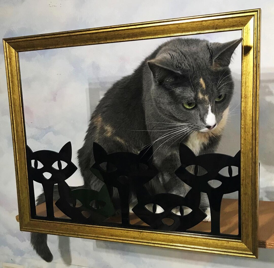 Mini Cat Picture Frame New Cat Picture Frame Portrait Perch Shelf - Etsy