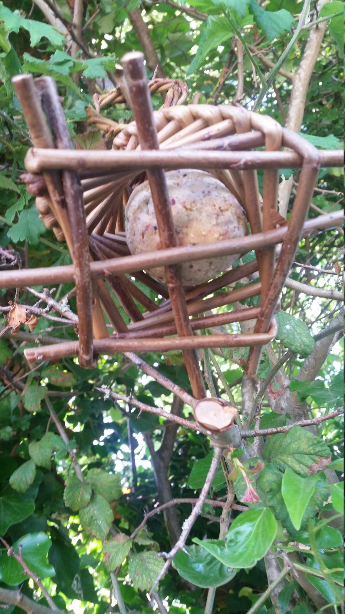 Willow bird feeder Etsy